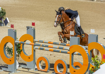 brown horse jumping the obstacle durign a five star competition in Italy