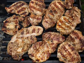 roasted pork steaks on the grill. cooking at the picnic. grill grate.