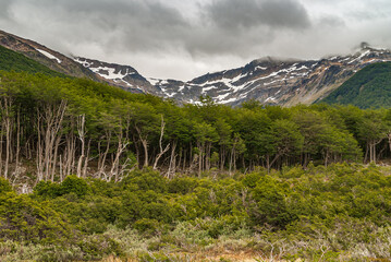 Ushuaia, Tierra del Fuego, Argentina - December 13, 2008: Martial Mountains in Nature Reserve....