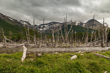 Ushuaia, Tierra del Fuego, Argentina - December 13, 2008: Martial Mountains in Nature Reserve....