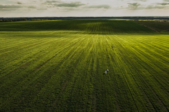 Couple man and woman in a dress go on a meadow. green field from the sky. aerial top view from drone