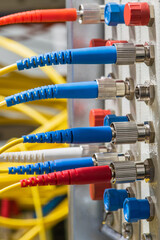 Fiber Optical Network Cables Connected to Distribution Patch Panel 