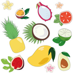 Tropic and exotic fruits vector illustration set. Flat and sketch healthy and vegan icons or illustration for web design on white background, isolated.