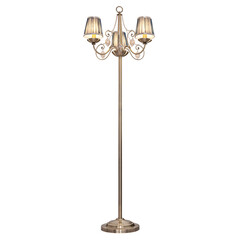 Floor lamp, isolated on white background.