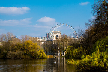 bridge in the park