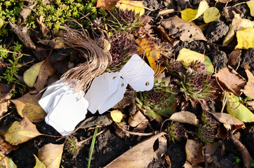 White garden labels for recording plant varieties.  A label on a string.  Autumn leaves.  Garden tools.
