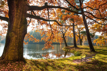 A place in the park where you can relax - in the autumn season.