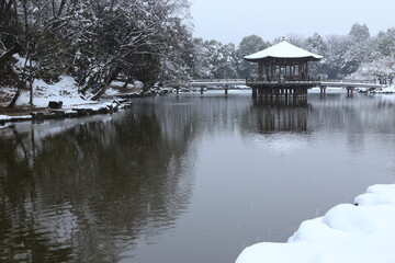 Fototapeta premium 雪の奈良公園浮御堂