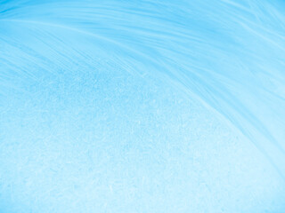 Beautiful abstract blue feathers on white background and soft white feather texture on blue pattern and blue background, feather background, blue theme valentines day