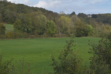 landscape with trees and grass