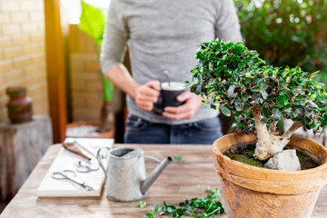 Man who look a table with tools to care for a bonsai and cup of tea.