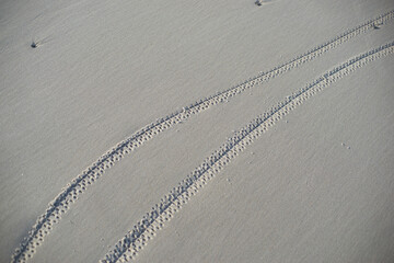two lines of bicycle weels in beach sand diagonal