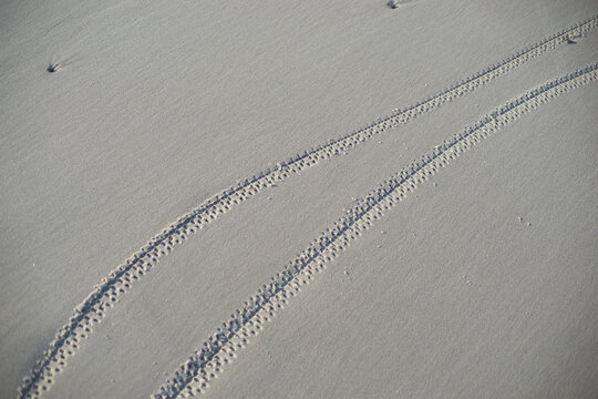 two lines of bicycle weels in beach sand diagonal