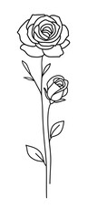 One line drawing. Garden rose with long stem and leaves. Hand drawn sketch. Vector illustration.