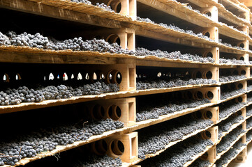 The red wine called Sforzato or Sfursat passito rosso di Valtellina DOCG in the Lombardy region