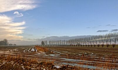 When it's winter time and all the lakes are frozen