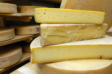 typical Italian mountain cheese from the Valtellina area in the Lombardy region called Bitto