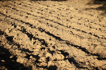 Plowed field, olive grove in the outskirts of Athens in Attica, Greece.