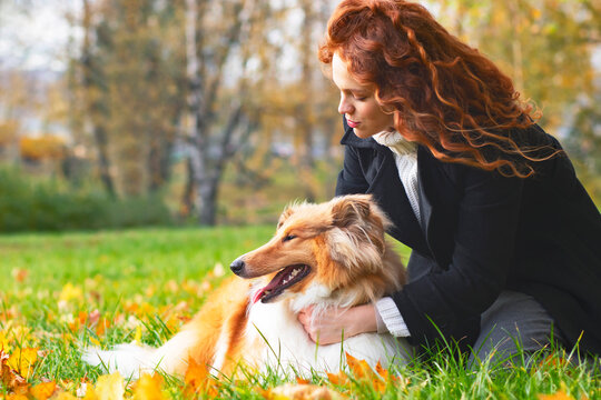 A cute woman with red hair stroking and hugging her collie dog. Female In an autumn park outdoors, pet.