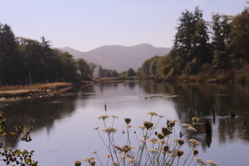 reflection in the lake