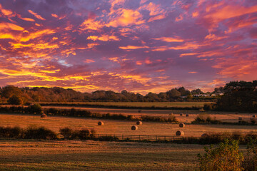 Fototapeta na wymiar A Field at Perceton North Ayrshire after Sunrise in Scotland's Farmlands.