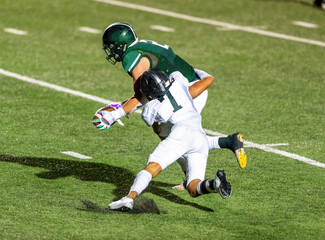 Football players displaying amazing athletic ability while making plays during a game