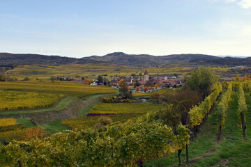 Blick auf Burkheim im Kaiserstuhl im Herbst