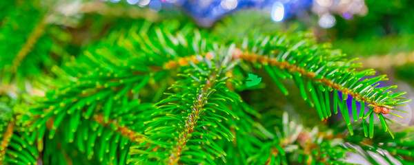 Bright christmas tree with decorations and colorful lights, soft focus blurry background