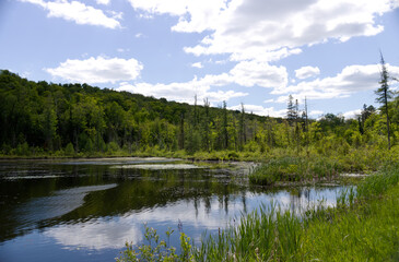 Obraz premium Peaceful scenery revealing a Lake, mountains and trees on a partly cloudy day