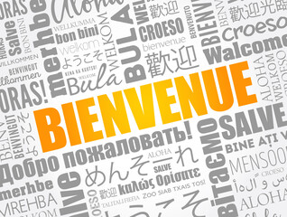 Bienvenue Welcome in French word cloud concept background