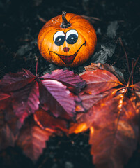 lovely Halloween Pumpkin decoration