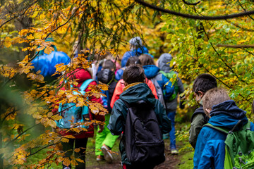 Fototapeta Schulausflug / Wandertag: Schulklasse wandert im herbstlichen Wald obraz