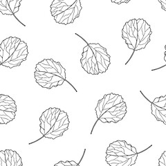 Seamless pattern with ornamental aspen leaves. Vector contour leaf. Hand-drawn outline sketch illustration. Vintage decorative background for floral botanical design. Line plant silhouette