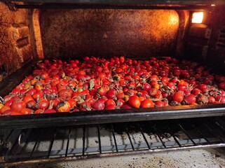 The juicy rosehip crop is laid on a baking sheet and dried under a high temperature.