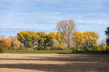 a beautiful colorful autumn landscape in Germany