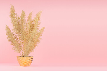Rich bright interior with gold decorative fern branch in glossy pot on soft light pink background,...