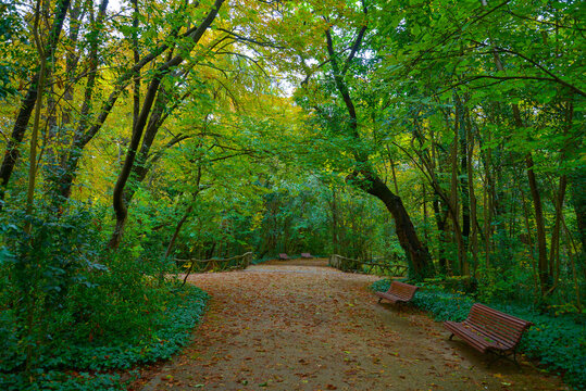 Public park photography autumn photography, Nature photography