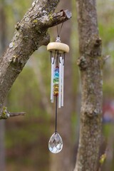wind chime with chakra stones hangs from tree