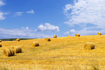 bales of hay