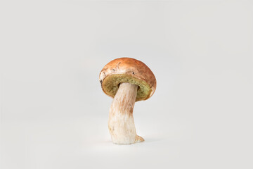 Fototapeta premium Beautiful fresh porcini mushrooms on white background isolated season healthy food