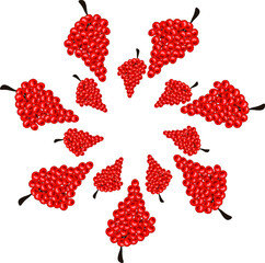 the grape seed pattern forms a circle on a white isolated background 