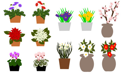 冬の花のアイコン