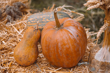 three pumpkins lie on a bale of hay
