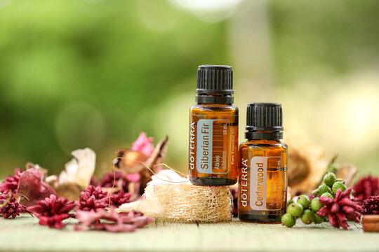 Mudgee, New South Wales / Australia - October 19 2020 - Illustrative editorial image of doterra essential oils in outdoor setting with natural bokeh background, siberian fir and cedarwood