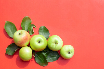 Green apples with leaves on a red background with space for text. Advertising, poster, postcard.