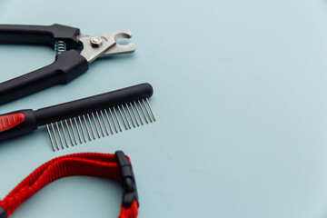 Pet care and grooming tools with brush on a blue background.