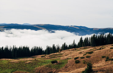 view from the valley to the mountains in the clouds