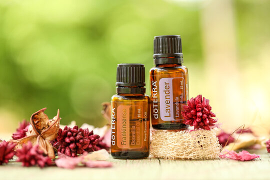 Mudgee, New South Wales / Australia - October 19 2020 - Illustrative editorial image of doterra essential oils in outdoor setting with natural bokeh background, lavender and frankincense