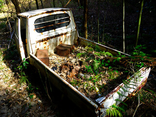 廃車の不法投棄