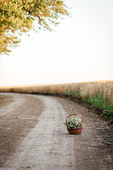 a bouquet of wild flowers in a basket on a rural road